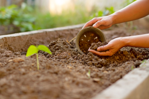 Composting and organic matter