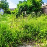 5 backyard features that secretly ruin your outdoor space