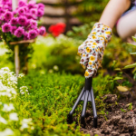 The genius way to reuse coffee grounds that your plants will love