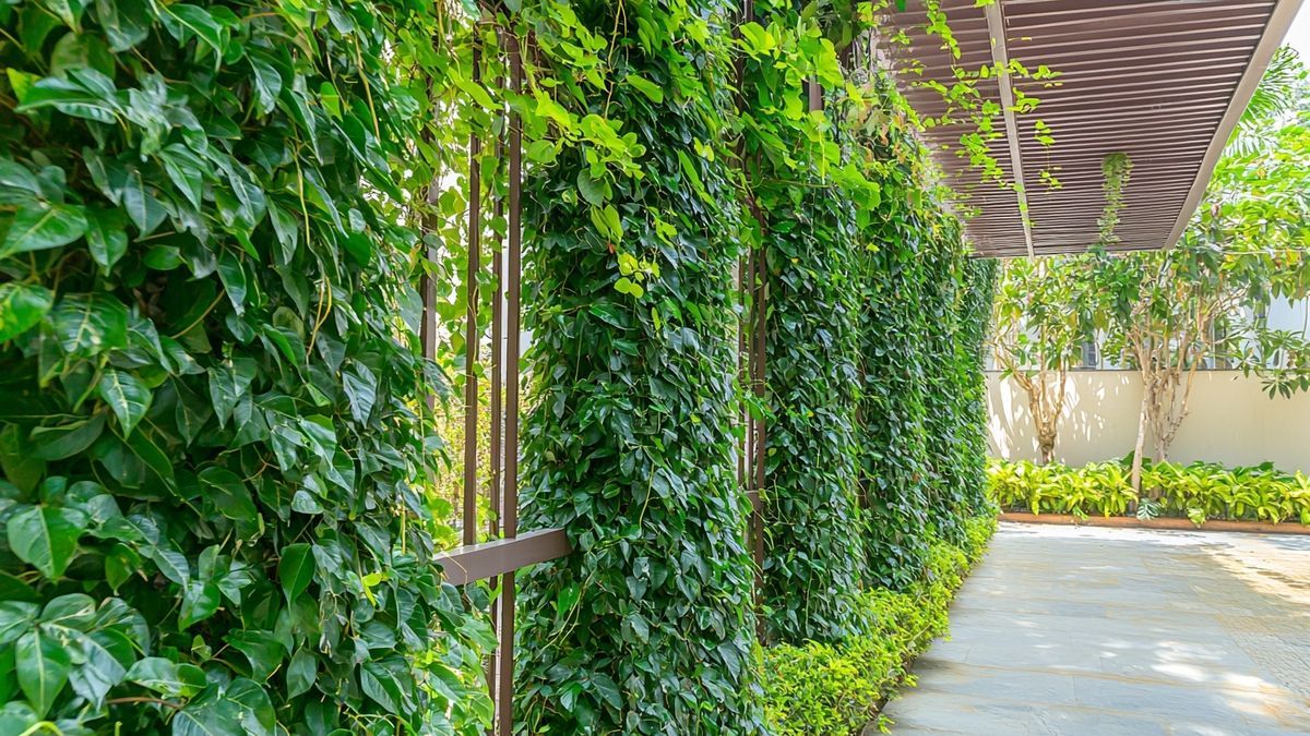 10 Ways To Make Your Garden Fence Stunning With Climbing Plants