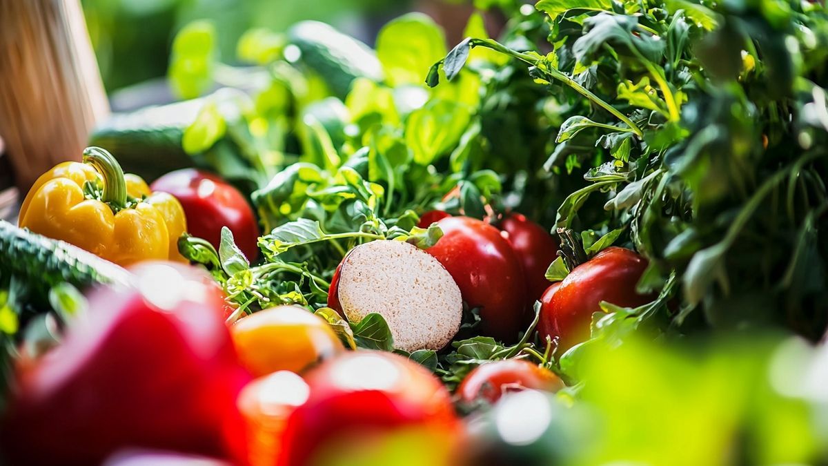 The One Natural Ingredient That Made Rats Vanish From My Garden
