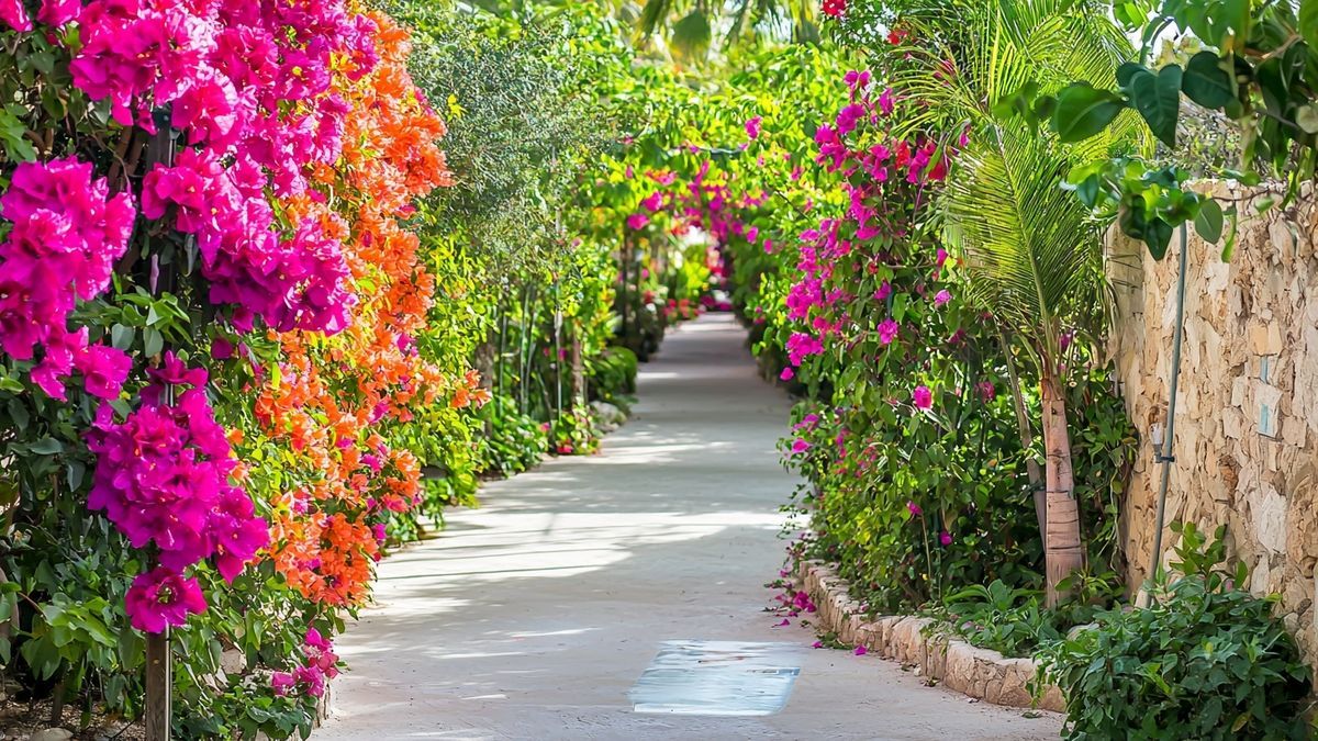 Weeding Your Pathways With Vodka: The Viral Trick That Works