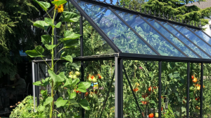 Evaporative cooling techniques