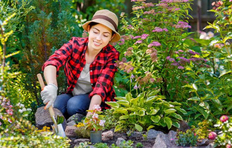 This Morning Routine Keeps Your Garden Thriving Through Heatwaves