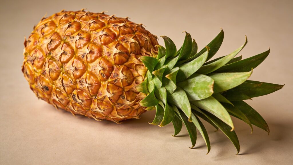 Pineapple (Ananas comosus) - Plant care guide