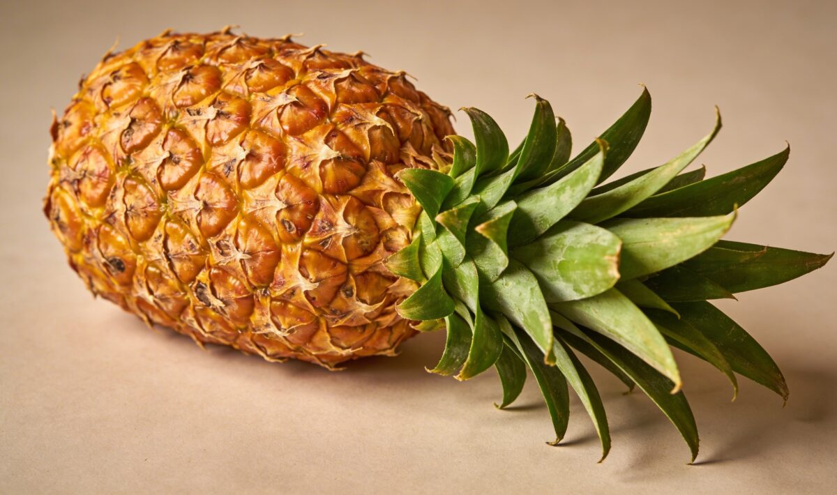 Pineapple (Ananas comosus) - Plant care guide